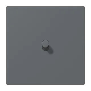 Gris Foncé 31
