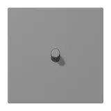 Gris 31