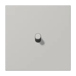 Gris Clair 31