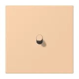 Terre Sienne Claire 31