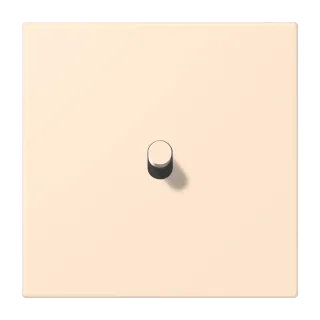Terre Sienne Pâle