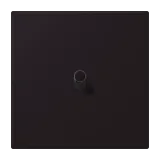 Noir d'Ivoire