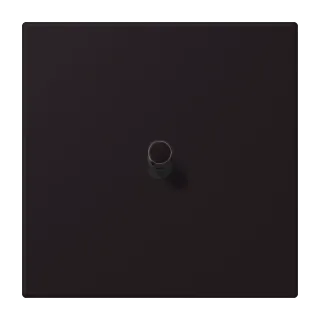 Noir D'Ivoire