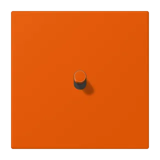 Orange Vif