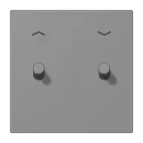 Gris 31