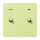 Vert Jaune Clair