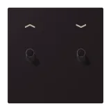 Noir d'Ivoire