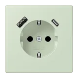 Vert Anglais Pâle