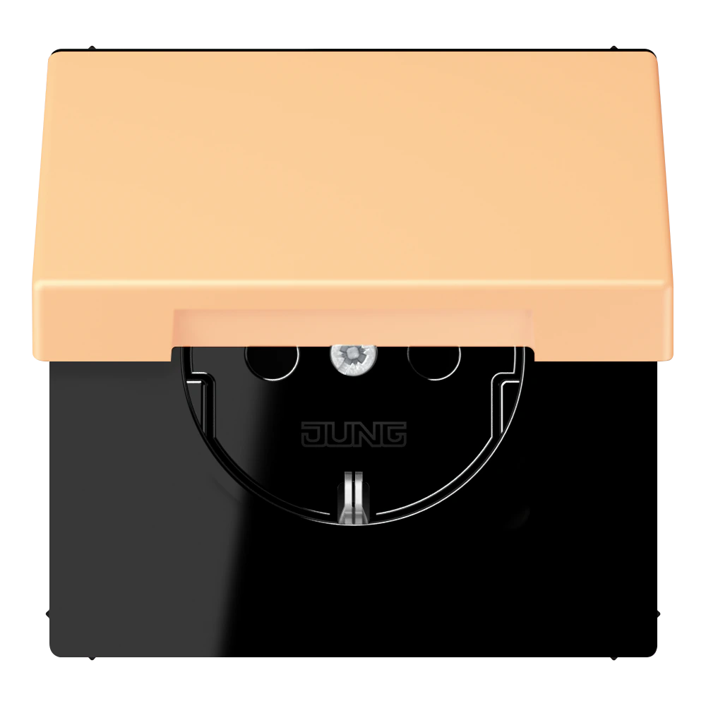 SCHUKO®-розетка 16 A / 250 B ~ — JUNG LS 990 Le Corbusier, le corbusier 258, арт. LC1520BFKIKL258