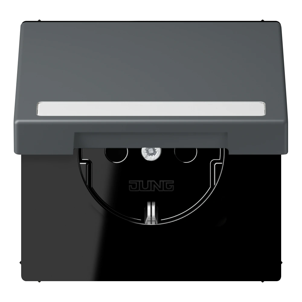 SCHUKO®-розетка с откидной крышкой и полем для записи — JUNG LS 990 Le Corbusier, Gris Foncé 31, арт. LC1520BFNAKL202