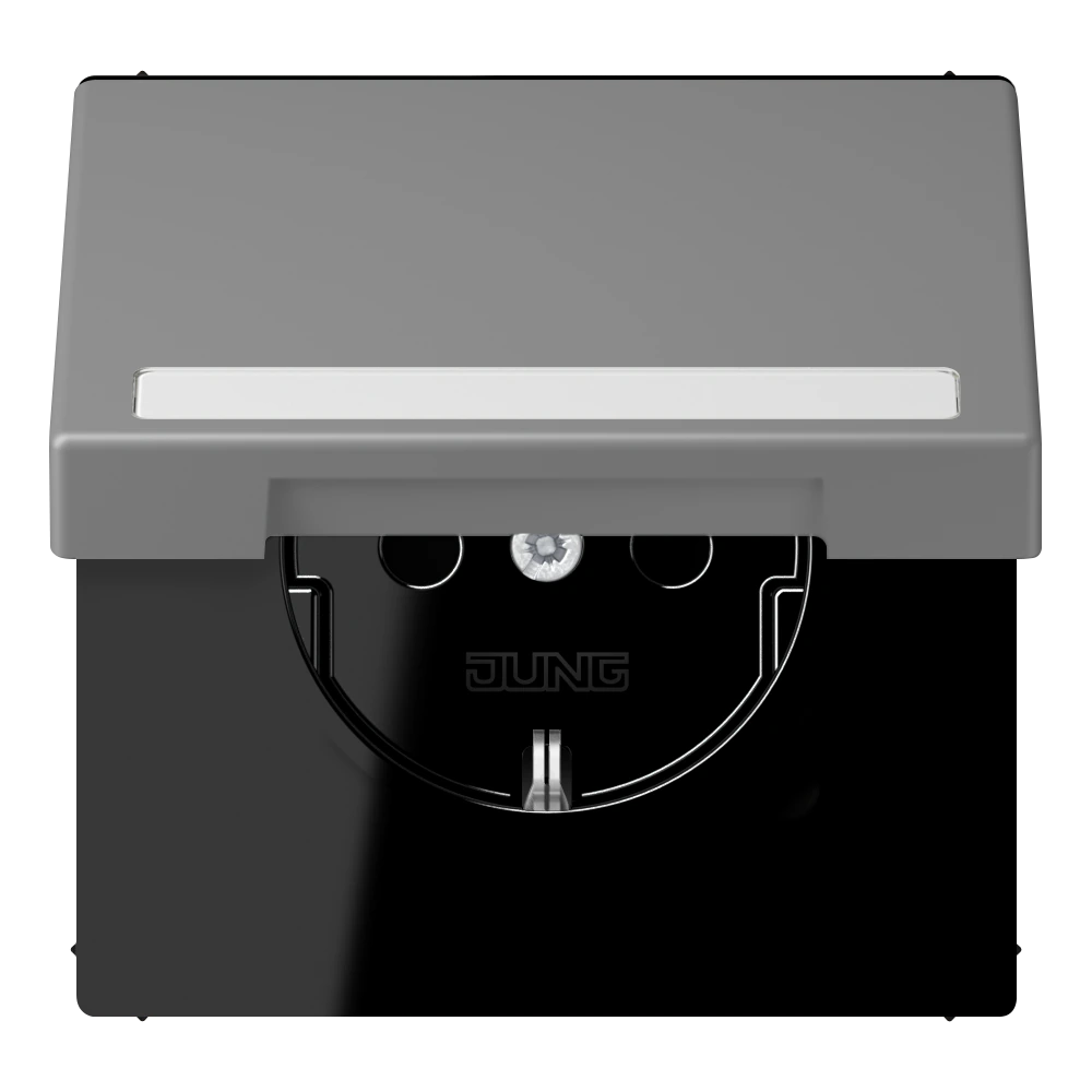 SCHUKO®-розетка с откидной крышкой и полем для записи — JUNG LS 990 Le Corbusier, Gris 31, арт. LC1520BFNAKL203