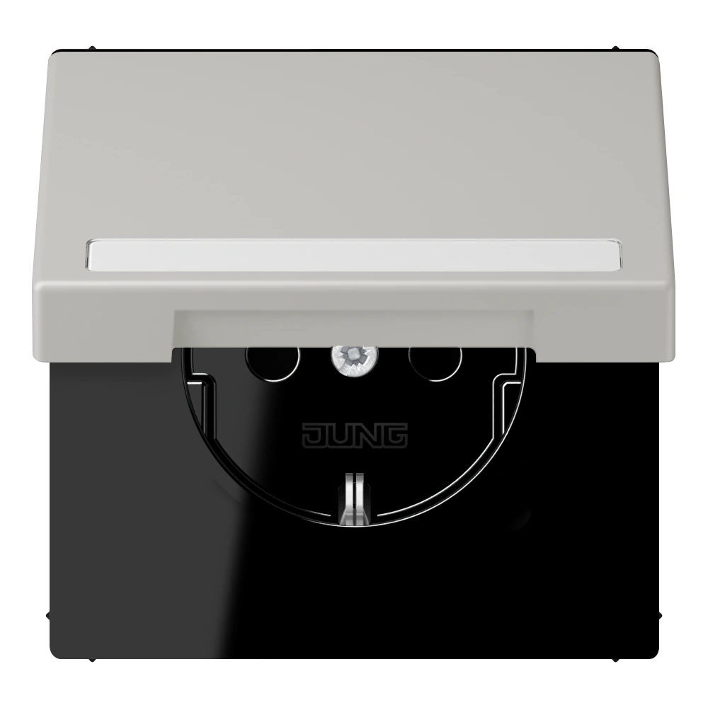 SCHUKO®-розетка с откидной крышкой и полем для записи — JUNG LS 990 Le Corbusier, Gris Clair 31, арт. LC1520BFNAKL205