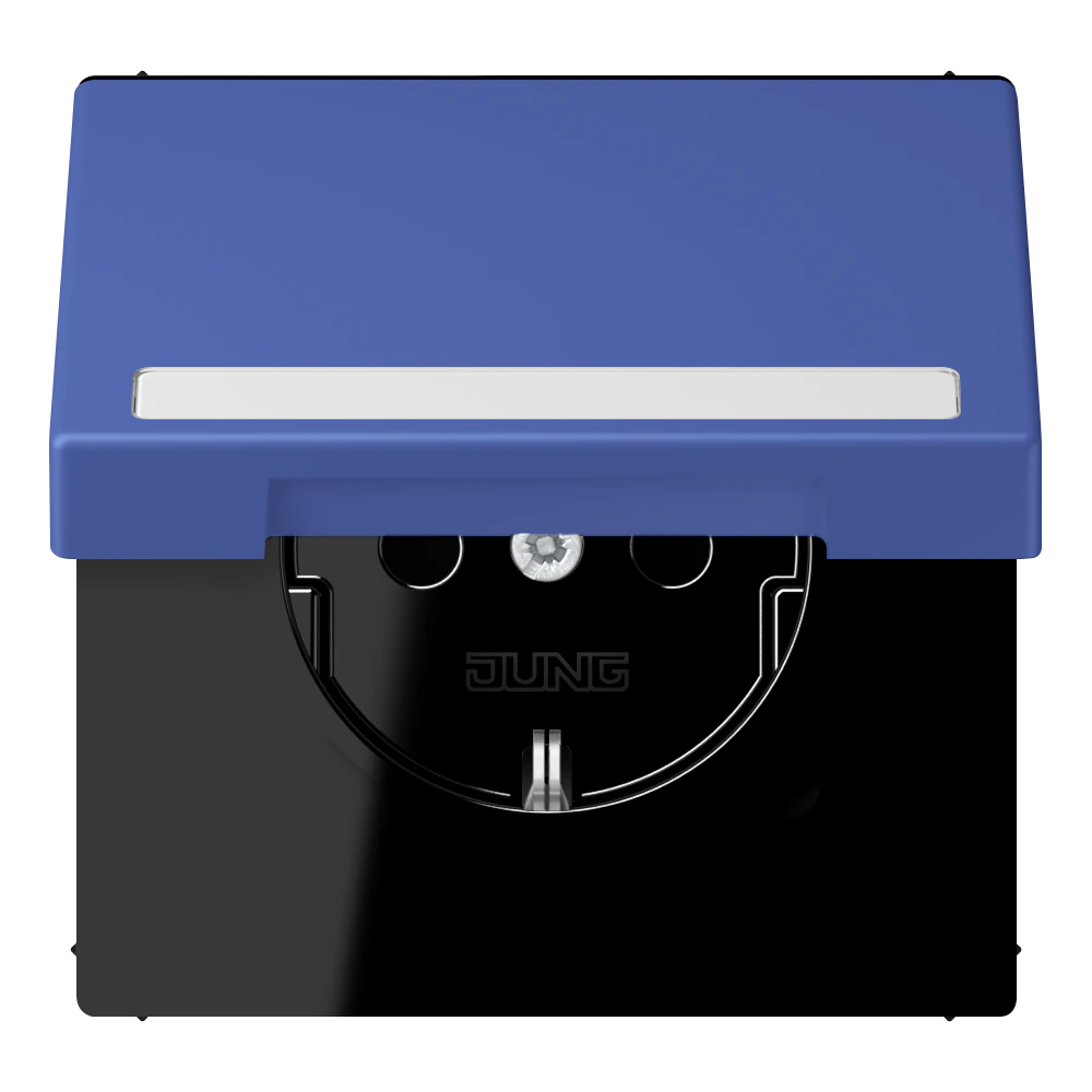SCHUKO®-розетка с откидной крышкой и полем для записи — JUNG LS 990 Le Corbusier, Bleu Outremer 31, арт. LC1520BFNAKL206