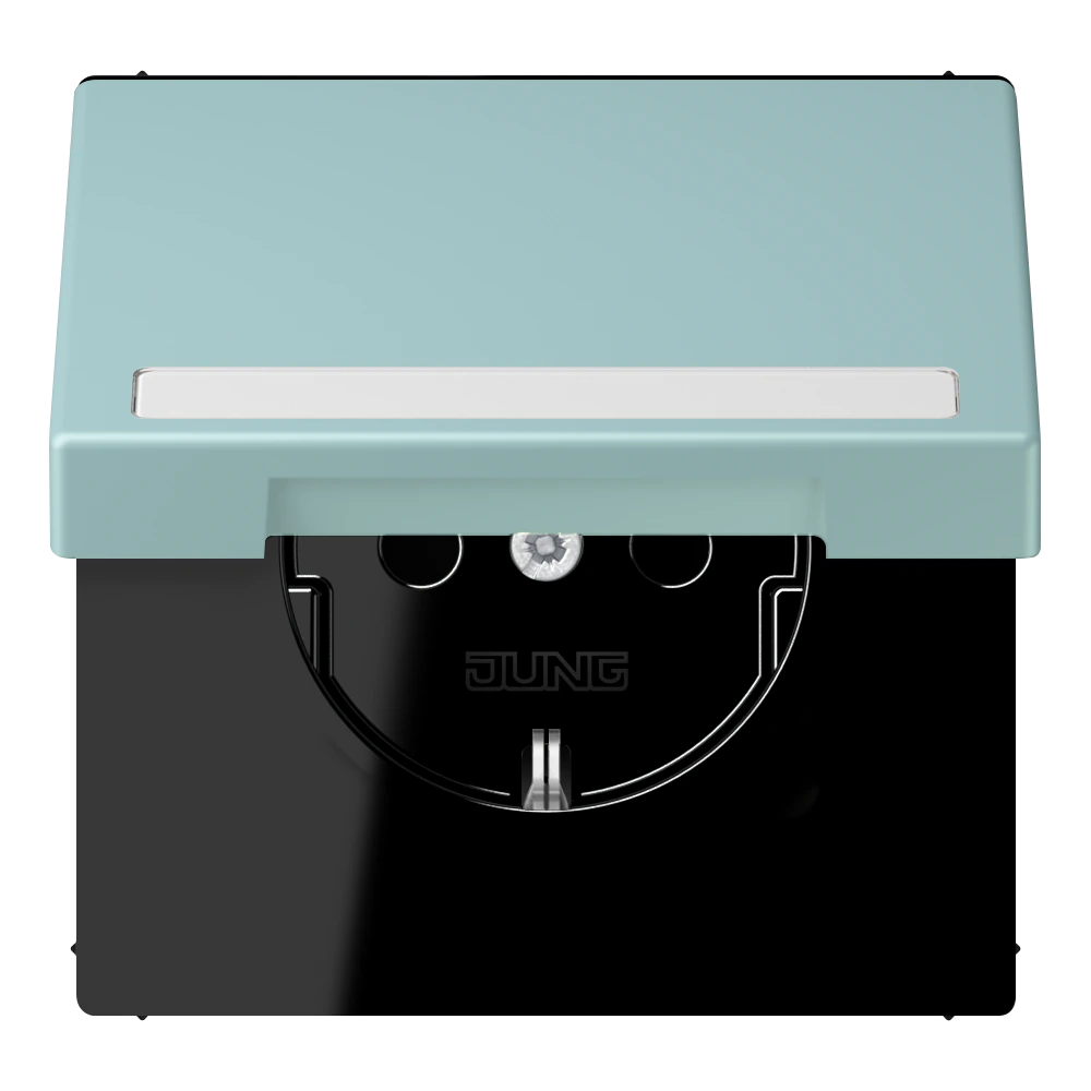 SCHUKO® socket with hinged lid and inscription field — JUNG LS 990 Le Corbusier, Céruléen Clair, art. LC1520BFNAKL214