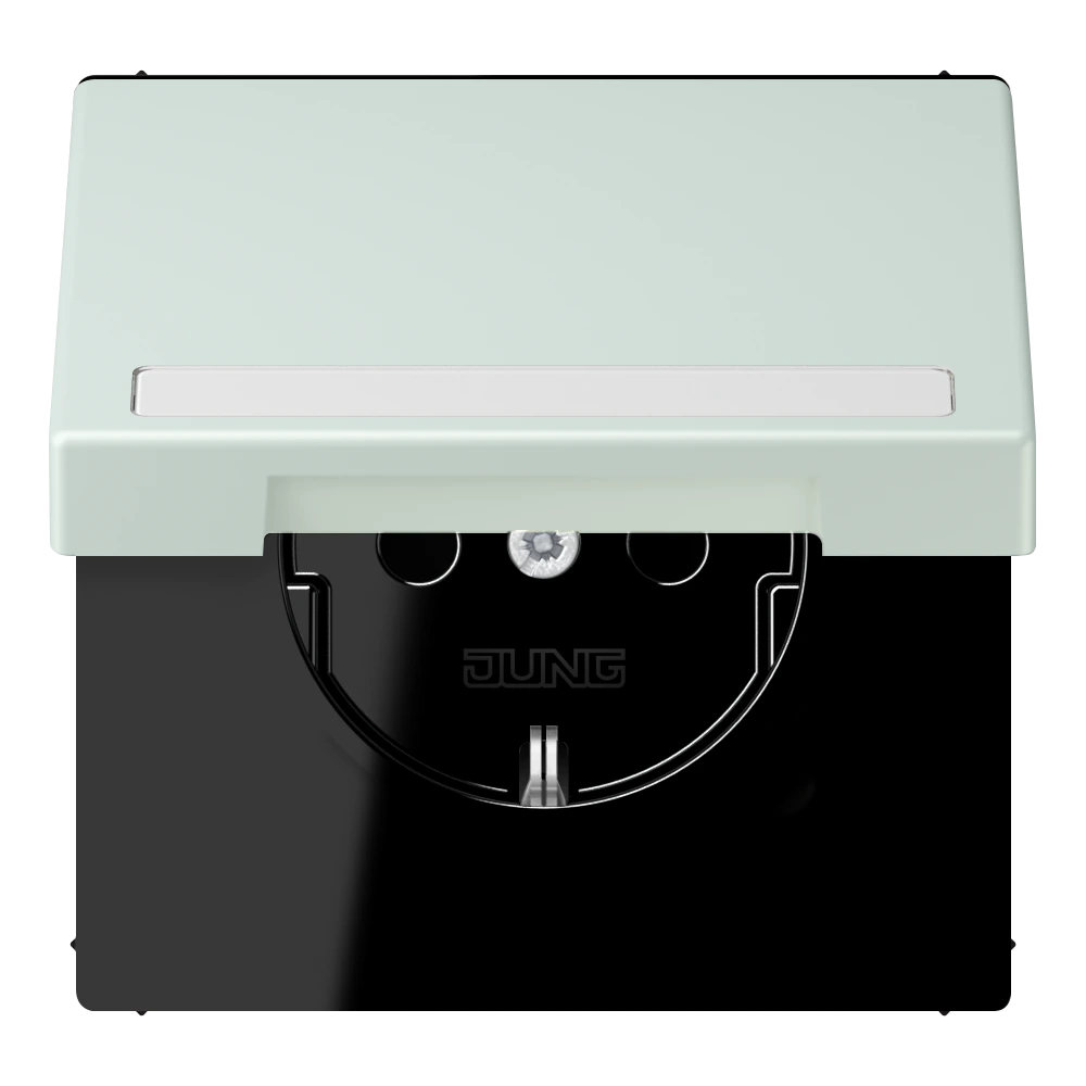SCHUKO®-розетка с откидной крышкой и полем для записи — JUNG LS 990 Le Corbusier, Céruléen Pale, арт. LC1520BFNAKL215