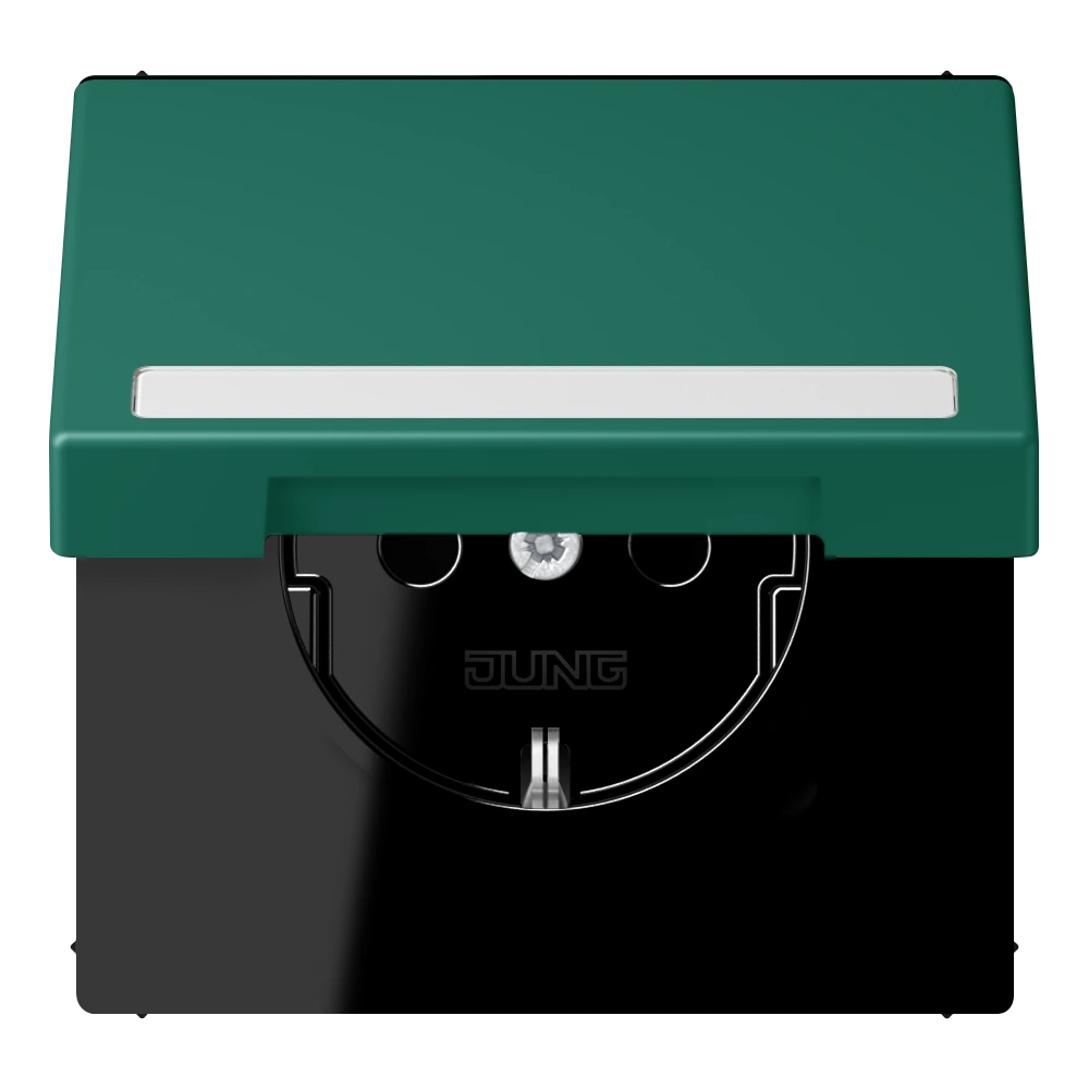SCHUKO® socket with hinged lid and inscription field — JUNG LS 990 Le Corbusier, Vert Anglais, art. LC1520BFNAKL216