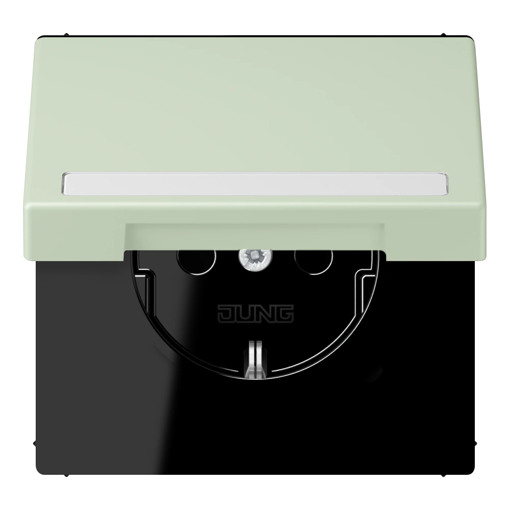 SCHUKO®-розетка с откидной крышкой и полем для записи — JUNG LS 990 Le Corbusier, Vert Anglâis Pale, арт. LC1520BFNAKL218