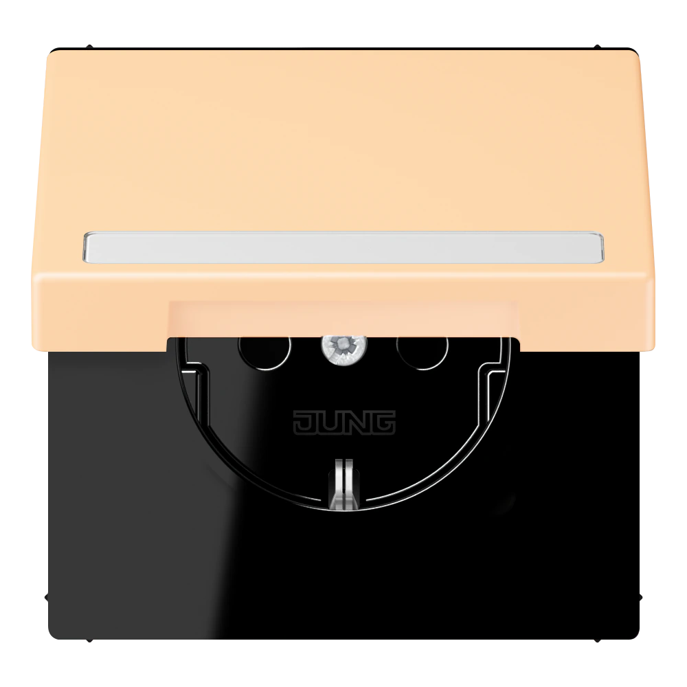 SCHUKO® socket with hinged lid and inscription field — JUNG LS 990 Le Corbusier, le corbusier 223, art. LC1520BFNAKL223