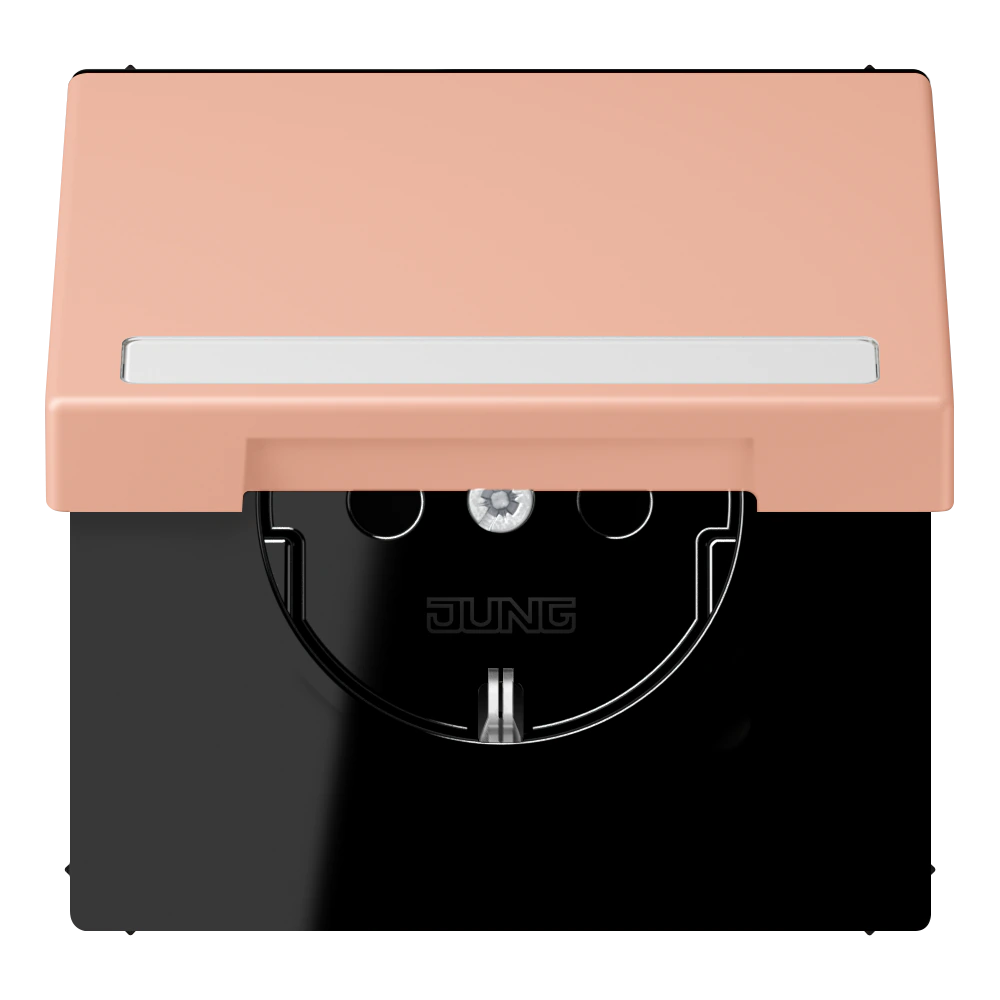 SCHUKO®-розетка с откидной крышкой и полем для записи — JUNG LS 990 Le Corbusier, le corbusier 231, арт. LC1520BFNAKL231