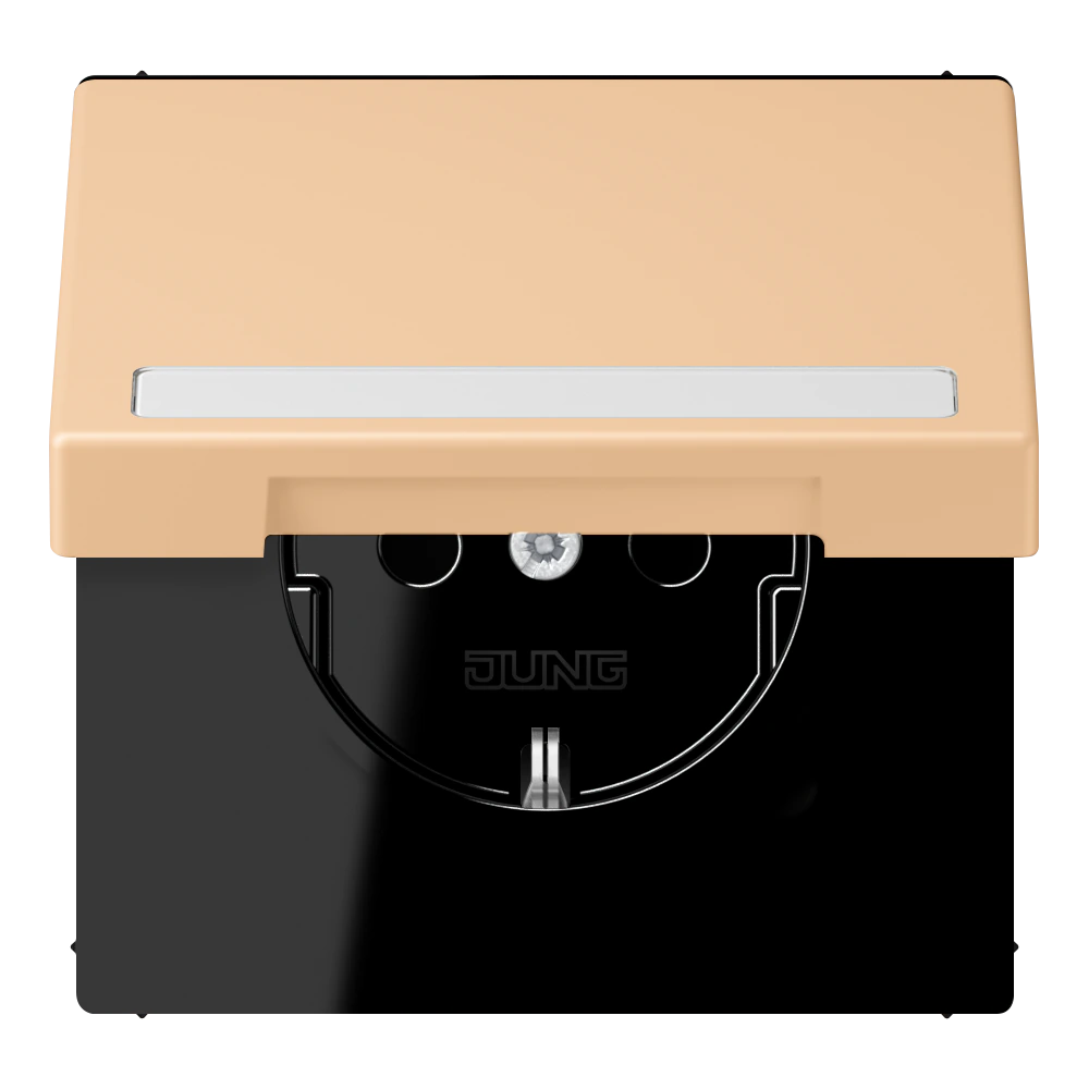 SCHUKO®-розетка с откидной крышкой и полем для записи — JUNG LS 990 Le Corbusier, le corbusier 237, арт. LC1520BFNAKL237