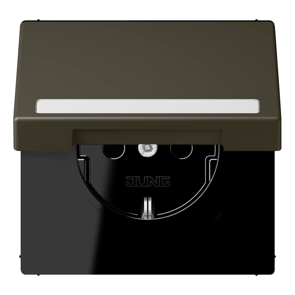 SCHUKO®-розетка с откидной крышкой и полем для записи — JUNG LS 990 Le Corbusier, le corbusier 241, арт. LC1520BFNAKL241