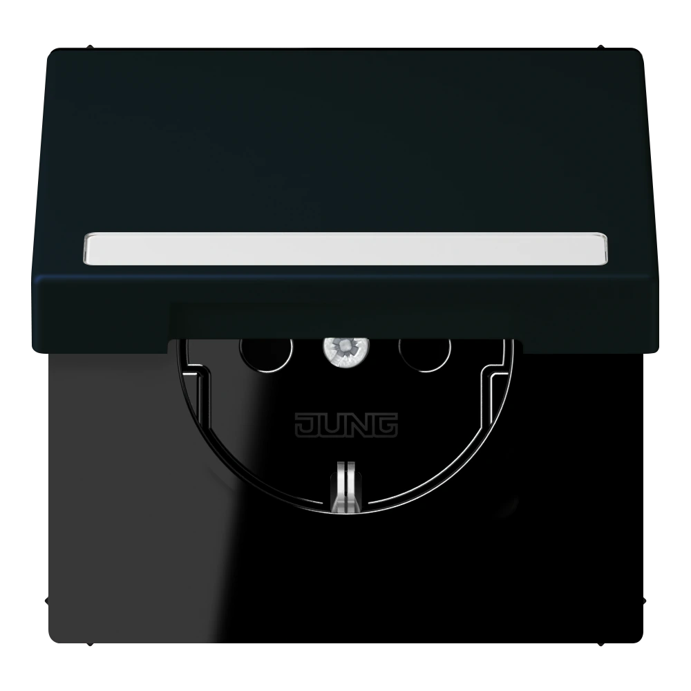 SCHUKO®-розетка с откидной крышкой и полем для записи — JUNG LS 990 Le Corbusier, le corbusier 248, арт. LC1520BFNAKL248