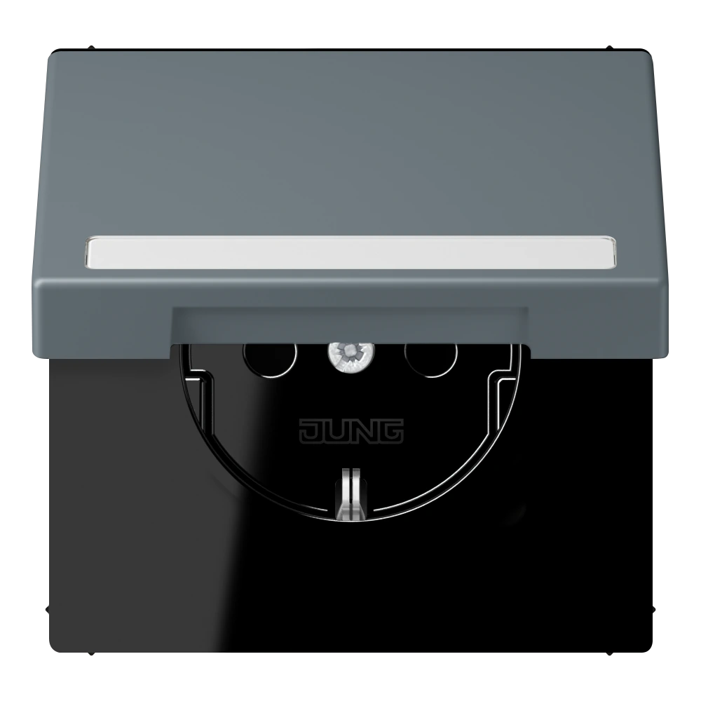 SCHUKO®-розетка с откидной крышкой и полем для записи — JUNG LS 990 Le Corbusier, le corbusier 251, арт. LC1520BFNAKL251