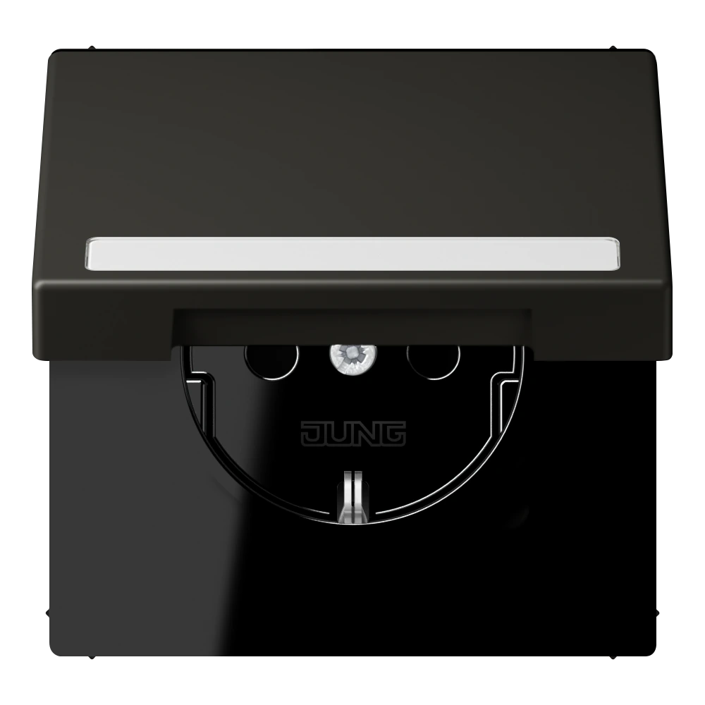 SCHUKO®-розетка с откидной крышкой и полем для записи — JUNG LS 990 Le Corbusier, le corbusier 259, арт. LC1520BFNAKL259