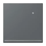 Gris Foncé 31