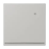 Gris Clair 31