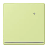 Vert Jaune Clair