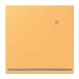 Ocre Jaune Clair
