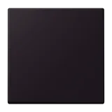 Noir d'Ivoire