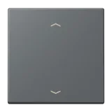 Gris Foncé 31
