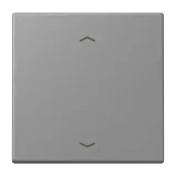 Gris 31