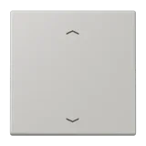 Gris Clair 31
