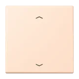 Rose Pâle