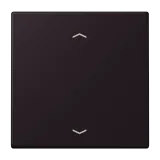 Noir d'Ivoire
