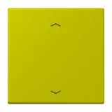 Vert Olive Vif