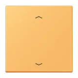 Ocre Jaune Clair