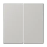 Gris Clair 31