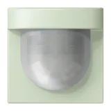 Vert Anglais Pâle