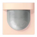 Orange Pâle