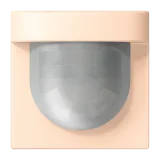 Terre Sienne Pâle
