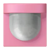Rose Vif
