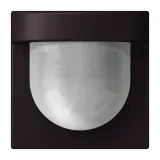 Noir d'Ivoire