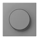 Gris 31