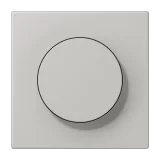 Gris Clair 31