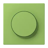 Vert 31