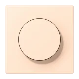 Terre Sienne Pâle